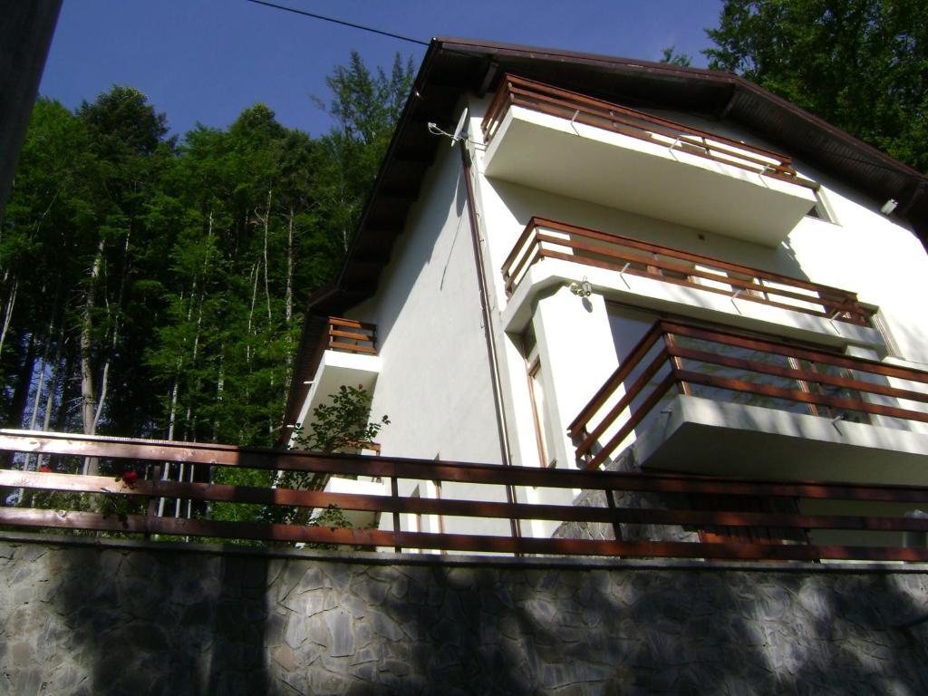 Casa Anotimpuri Hotell Sinaia Exteriör bild